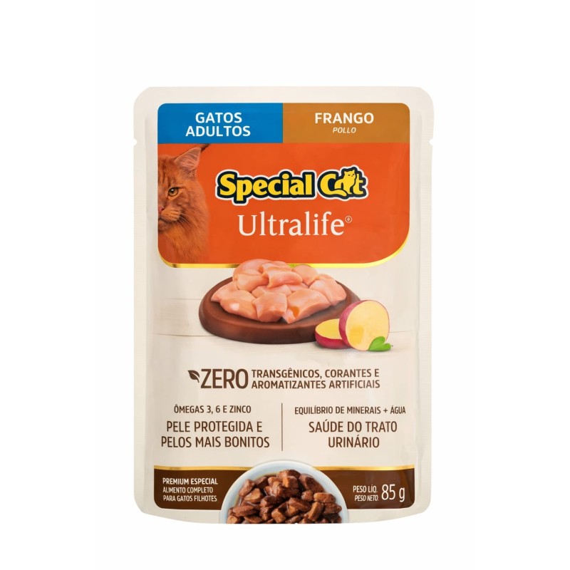 Special Cat Pollo